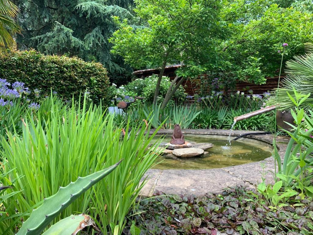 Maison En Pierre Dans Son Nid De Verdure Roz-Landrieux Экстерьер фото