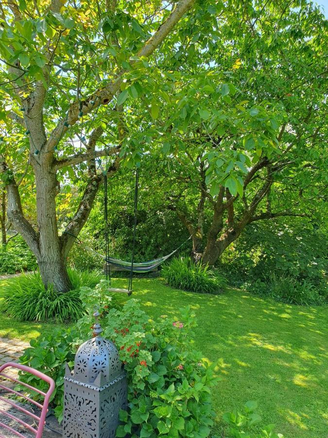 Maison En Pierre Dans Son Nid De Verdure Roz-Landrieux Экстерьер фото