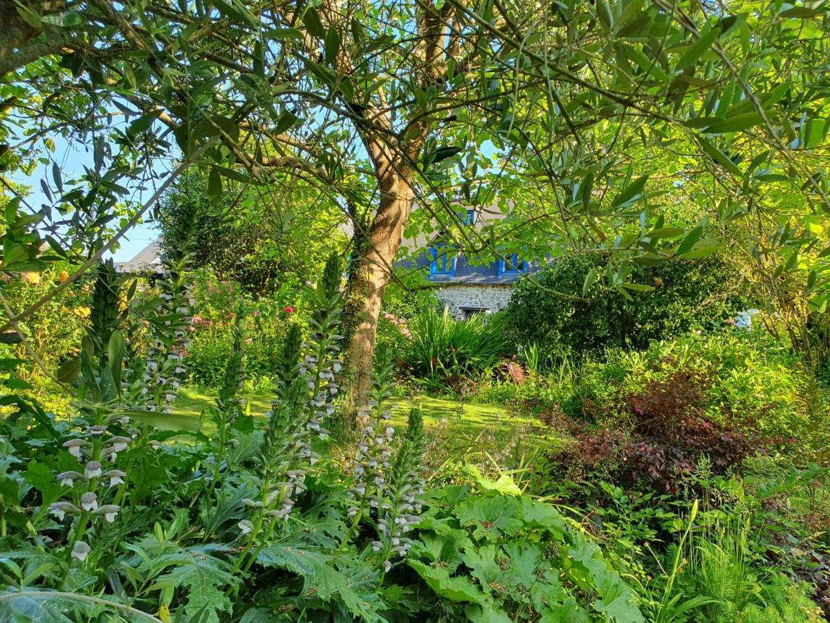 Maison En Pierre Dans Son Nid De Verdure Roz-Landrieux Экстерьер фото