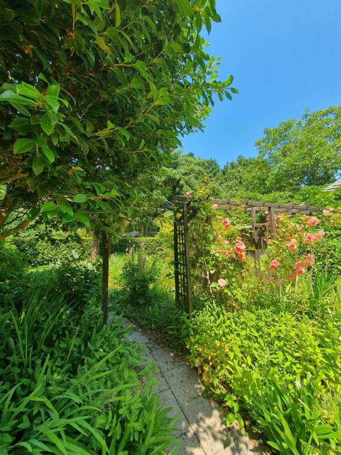 Maison En Pierre Dans Son Nid De Verdure Roz-Landrieux Экстерьер фото