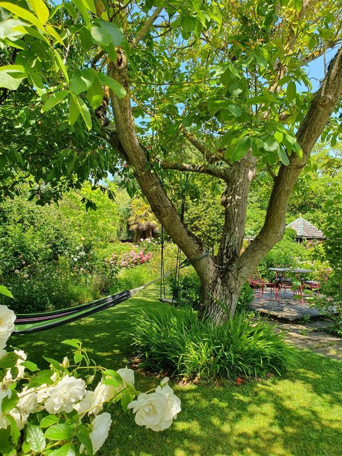 Maison En Pierre Dans Son Nid De Verdure Roz-Landrieux Экстерьер фото